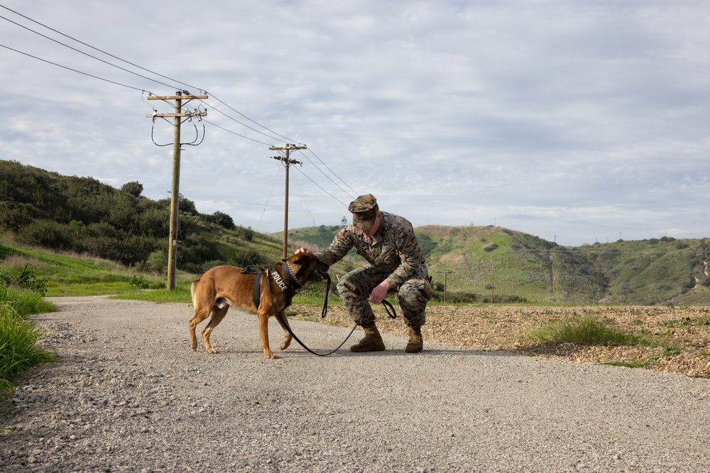 Vet Clinic Ribbon Cutting