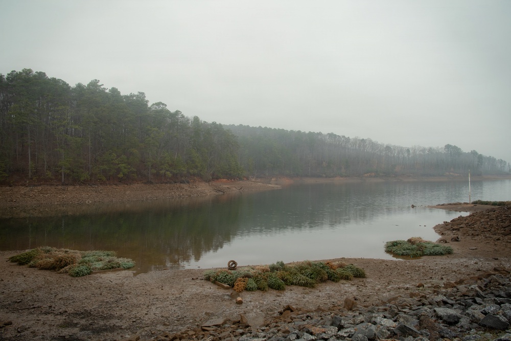 2026 Annual Fish Attractor Event