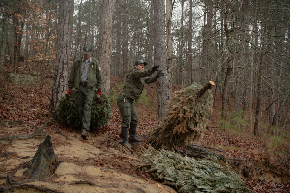 2026 Annual Fish Attractor Event