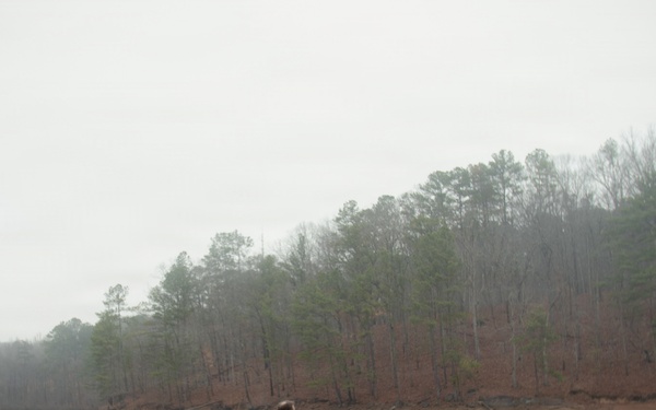 2026 Annual Fish Attractor Event