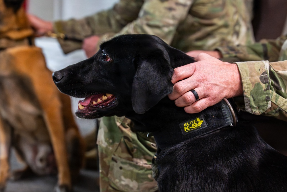 20 SFS Honors Retiring Military Working Dogs