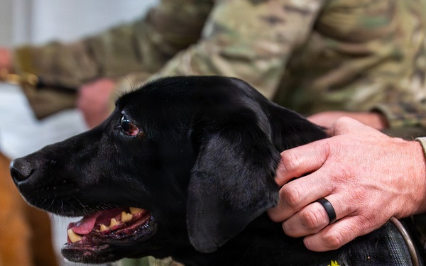 20 SFS Honors Retiring Military Working Dogs