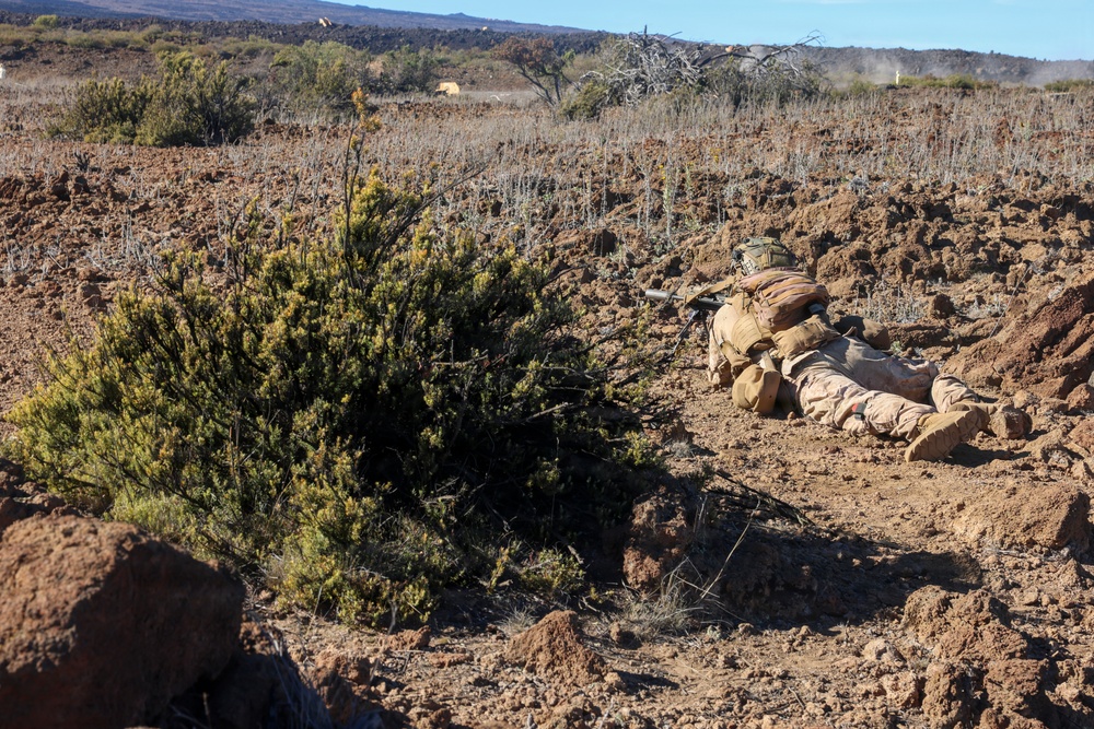 3rd LCT executes live-fire squad attacks at PTA