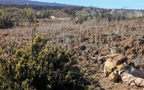 3rd LCT executes live-fire squad attacks at PTA