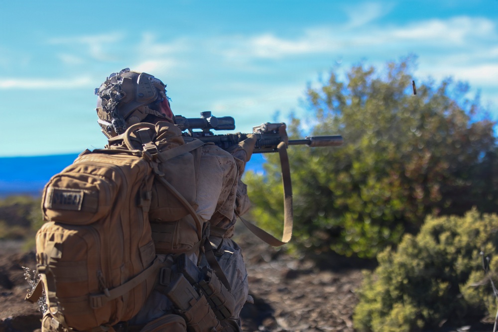 3rd LCT executes live-fire squad attacks at PTA