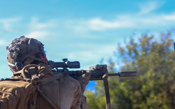 3rd LCT executes live-fire squad attacks at PTA