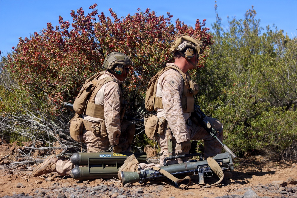 3rd LCT executes live-fire squad attacks at PTA