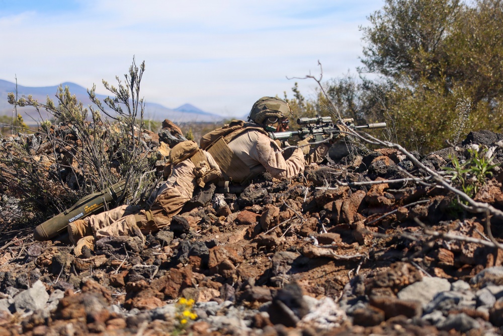 3rd LCT executes live-fire squad attacks at PTA