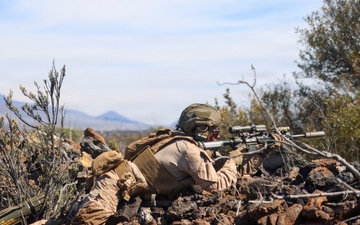 3rd LCT executes live-fire squad attacks at PTA