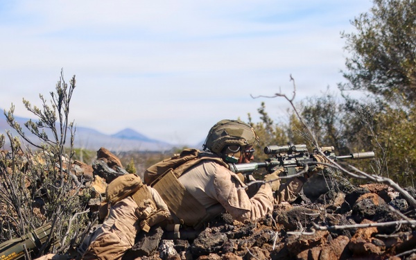 3rd LCT executes live-fire squad attacks at PTA