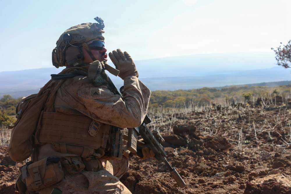 3rd LCT executes live-fire squad attacks at PTA