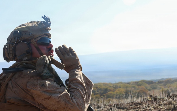 3rd LCT executes live-fire squad attacks at PTA