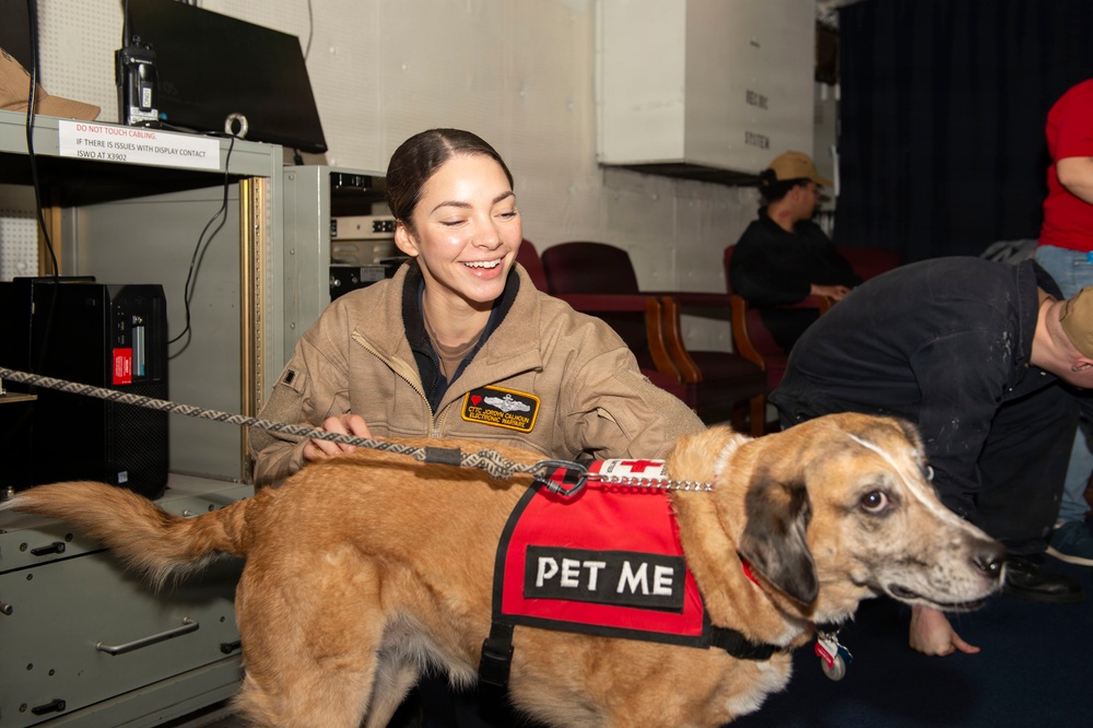 Dog vist on USS Blue Ridge