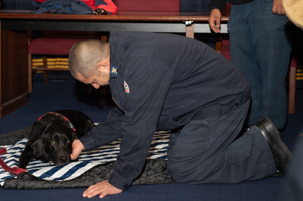 Dog vist on USS Blue Ridge