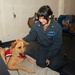 Dog visit on USS Blue Ridge