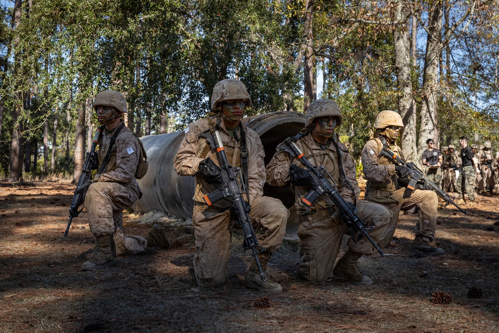 Alpha Company Movement Course