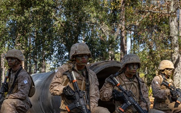 Alpha Company Movement Course