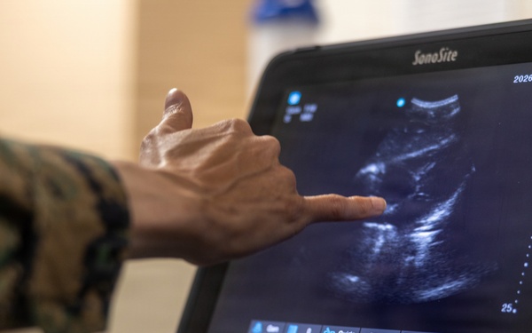 22nd MEU(SOC) | Corpsman Conduct FAST Training