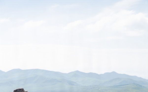 1st Marine Division Schools hosts small attack drone operators course