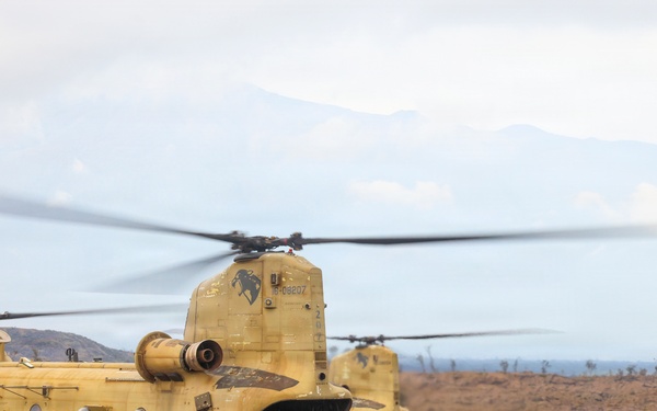 3rd LCT Marines conduct air insert training with U.S. Army CH-47 Chinooks