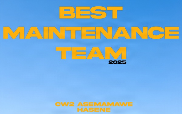 Best Maintenance Team (DSB) 26in x 33in