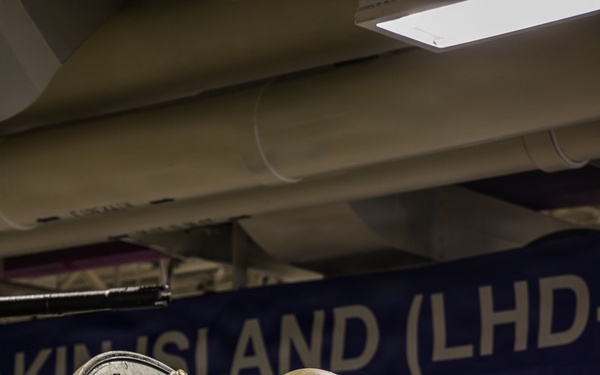 QUART 26.2: 3rd Assault Amphibian Battalion ship to ship transfer aboard USS Makin Island