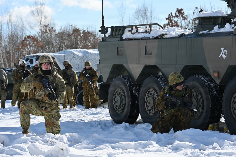 Fire Support Exercise at North Wind 26