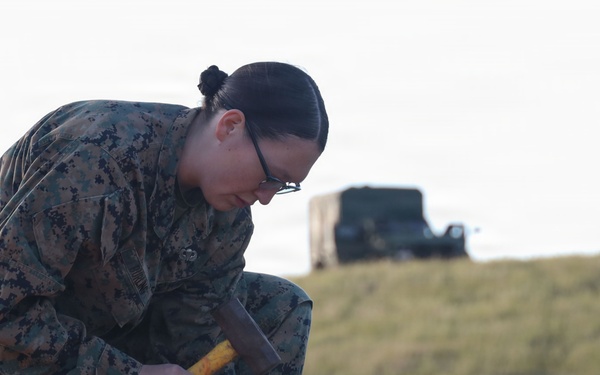 3d Reconnaissance Battalion Executes Military Freefall Jump