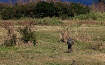 3d Reconnaissance Battalion Executes Military Freefall Jump