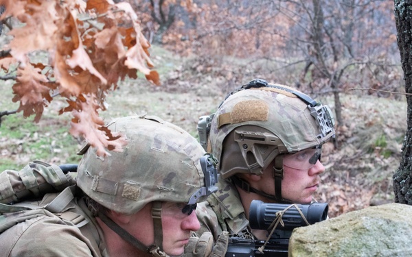1st Infantry Division Conducts a Combined Arms Live Fire Exercise at Novo Selo Training Area