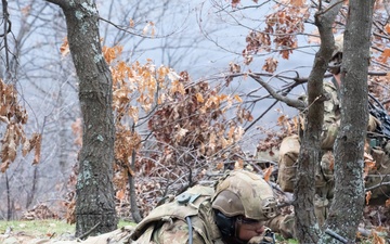 1st Infantry Division Conducts a Combined Arms Live Fire Exercise at Novo Selo Training Area