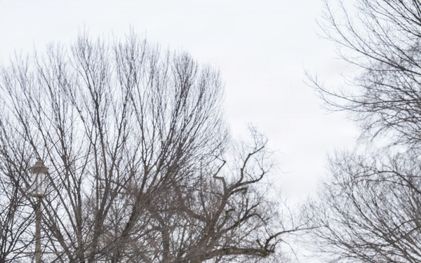 National Guard supports D.C. Safe and Beautiful mission during winter storm