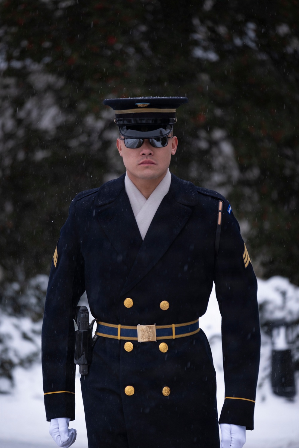 Snow Day 2026: Tomb of the Unknown Soldier