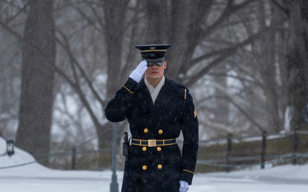 Snow Day 2026: Tomb of the Unknown Soldier