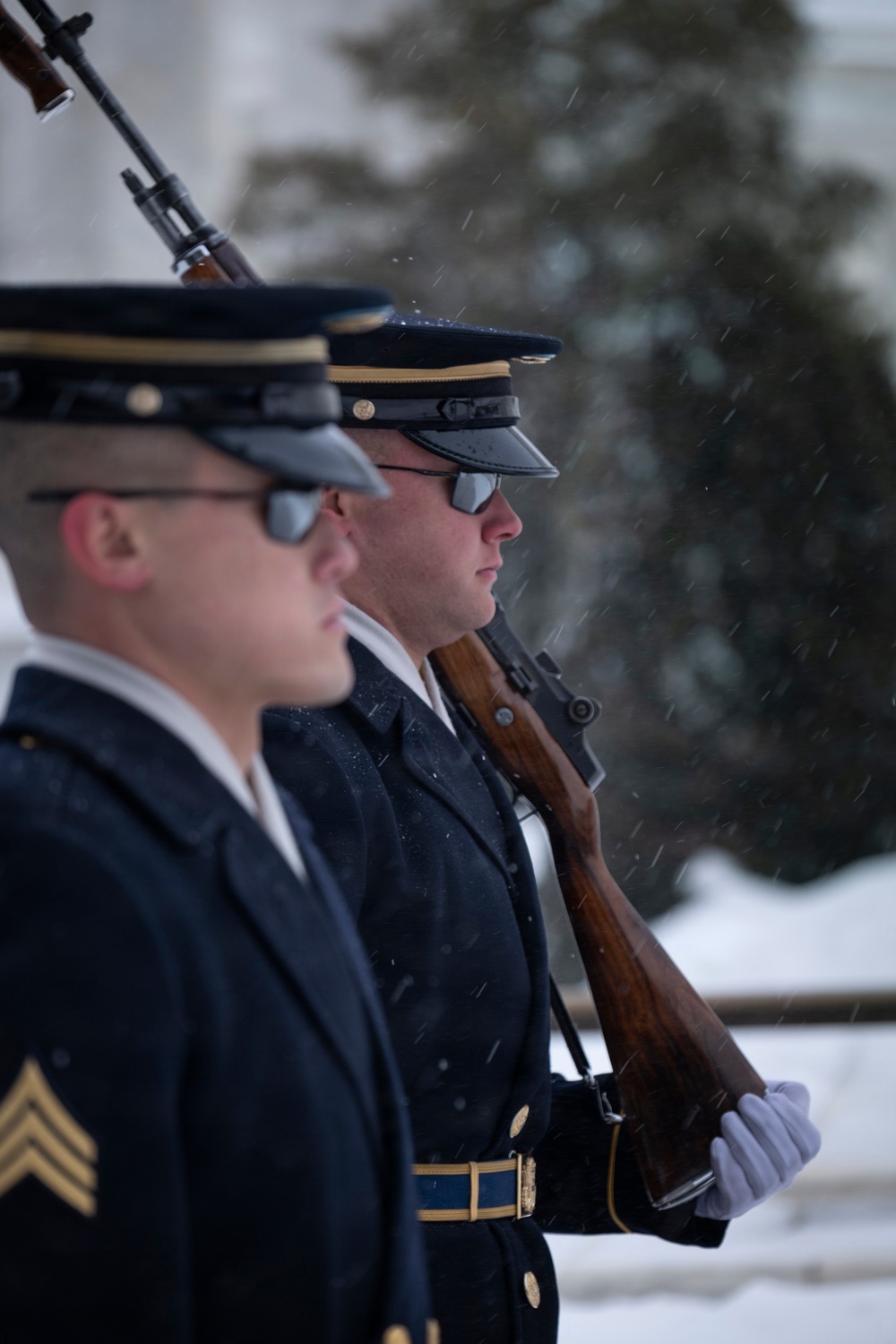 Snow Day 2026: Tomb of the Unknown Soldier