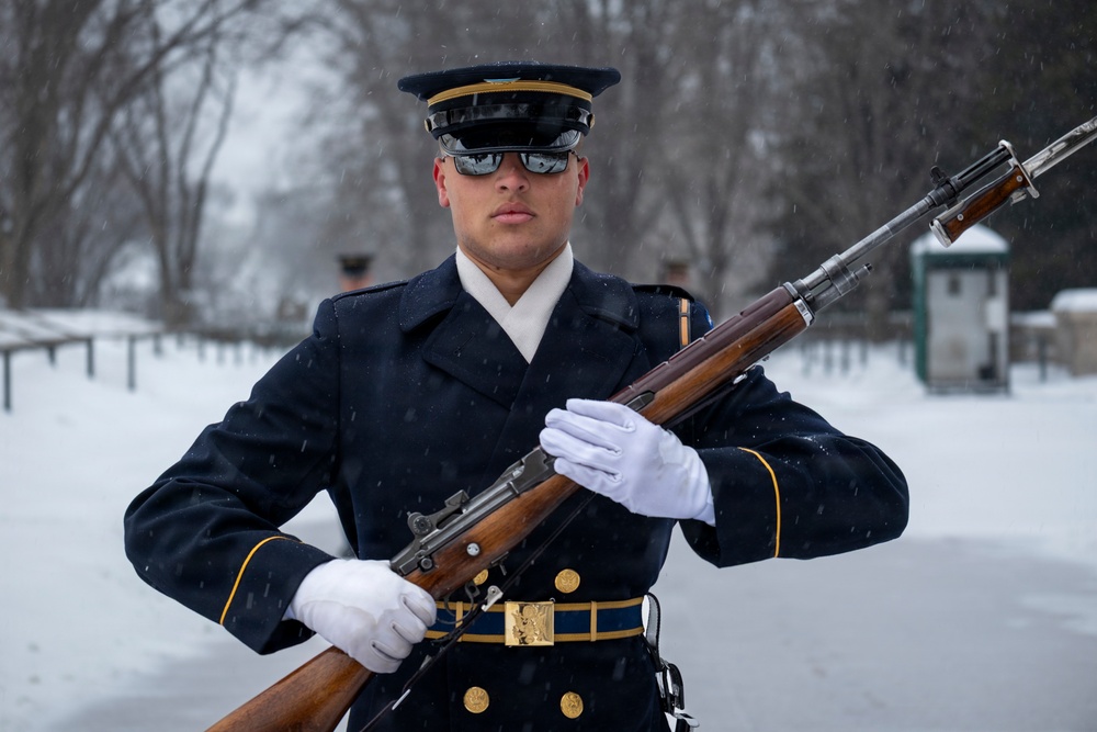 Snow Day 2026: Tomb of the Unknown Soldier