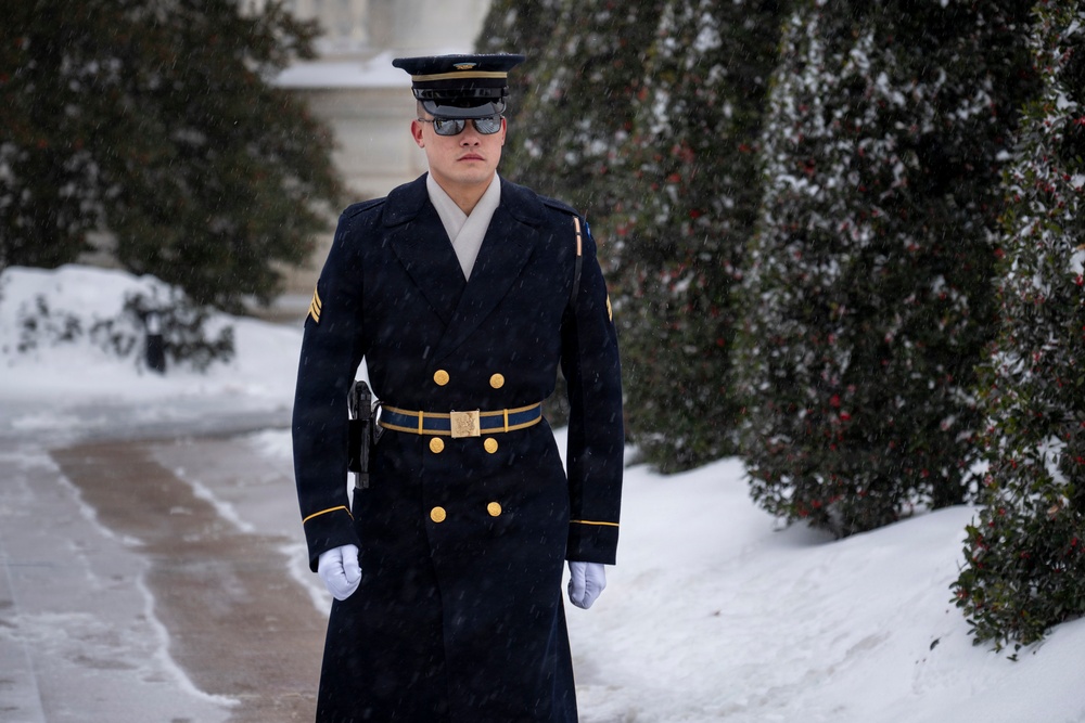 Snow Day 2026: Tomb of the Unknown Soldier