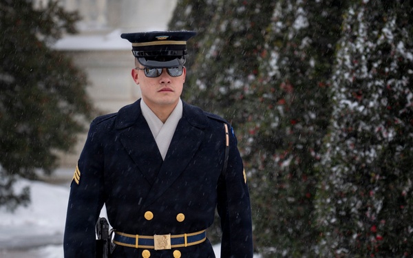Snow Day 2026: Tomb of the Unknown Soldier