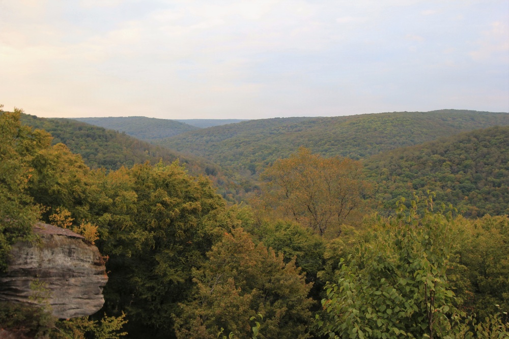 Minister Creek Scenic Overlook