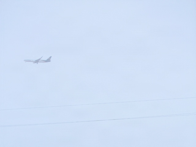 Iron Will: Fort Bliss community braves rain for FMWR half marathon, health fair