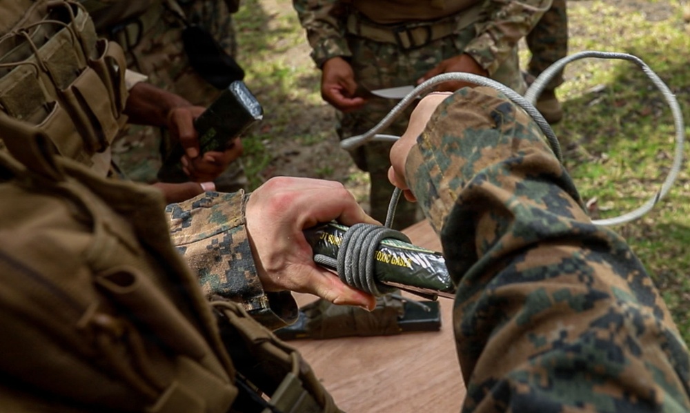 U.S. Marines and Panamanian Partners Build Stronger Ties Through Combat Engineer Training