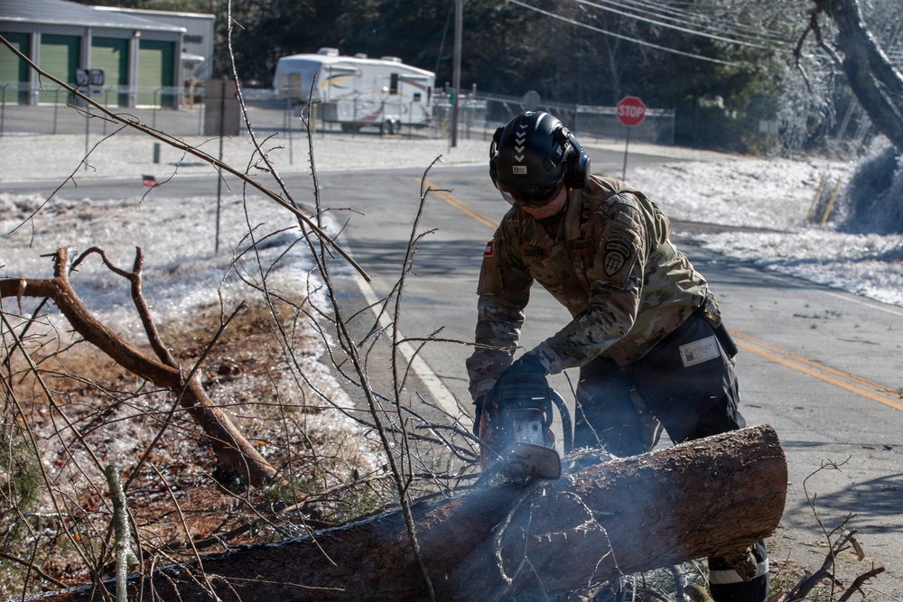 Icy Tree Being Sawed Down