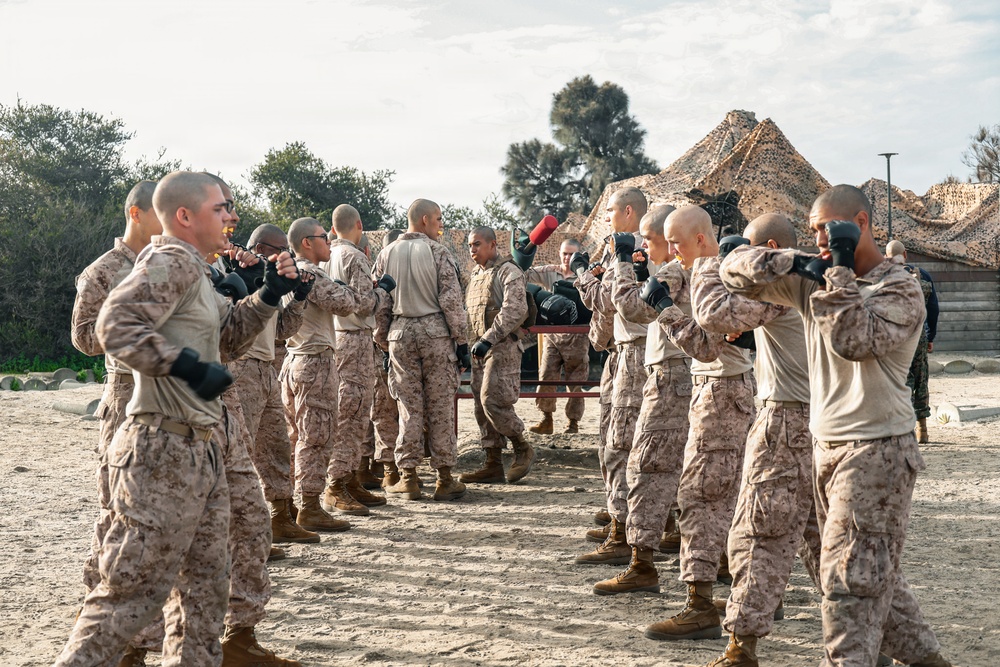 India Company Pugil Sticks