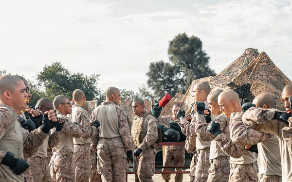 India Company Pugil Sticks