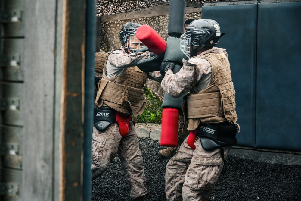 India Company Pugil Sticks