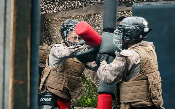 India Company Pugil Sticks