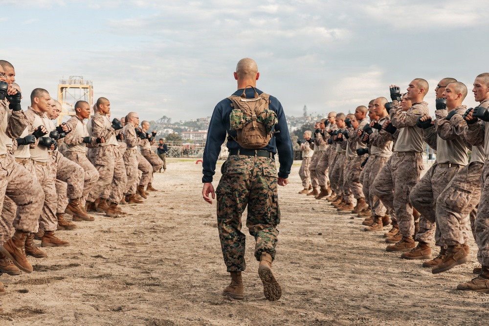 India Company Pugil Sticks