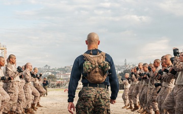 India Company Pugil Sticks