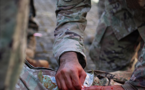 86th Medical Group, sister services join together in large scale mass casualty training exercise