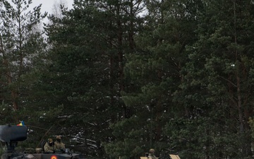 3-8 Cavalry Platoon Level STX Training